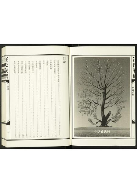 陜西汪氏-汪氏家谱.pdf电子版插图3 陜西汪氏-汪氏家谱.pdf电子版插图3