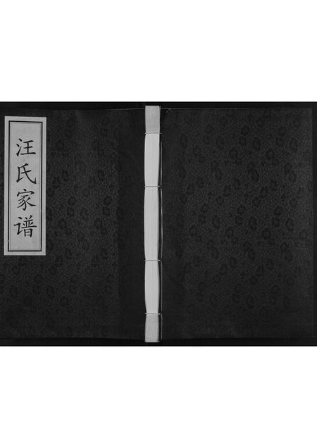 陜西汪氏-汪氏家谱[不分卷].pdf电子版