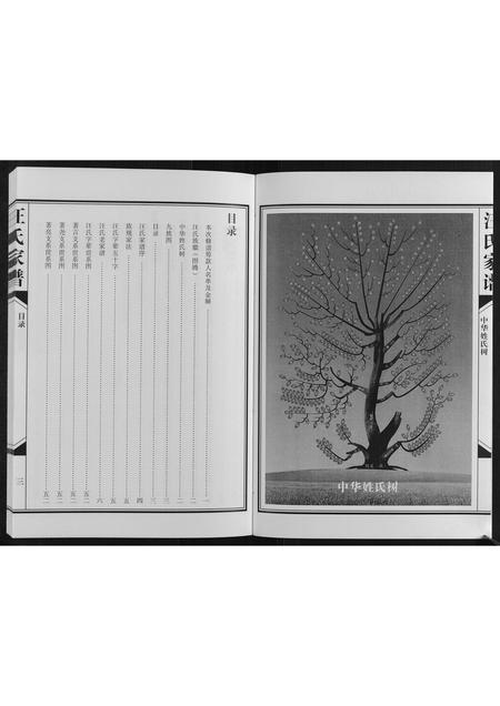 陜西汪氏-汪氏家谱[不分卷].pdf电子版插图3