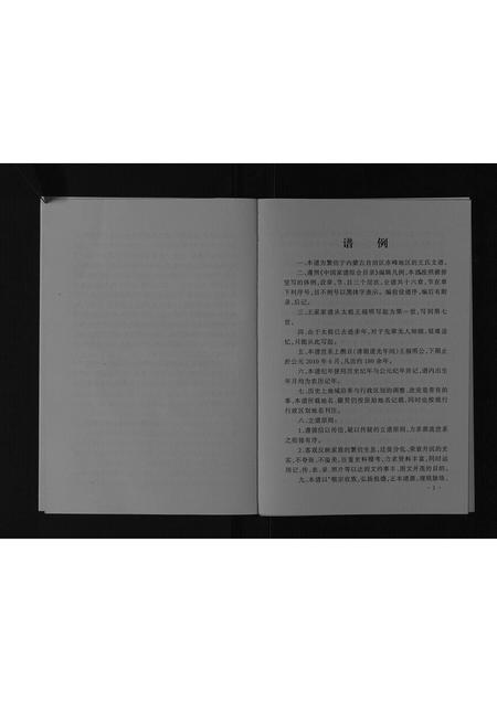 内蒙王氏-王氏家谱[不分卷].pdf电子版插图3