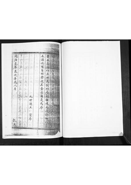 吉林王氏-王氏宗谱.pdf电子版插图2