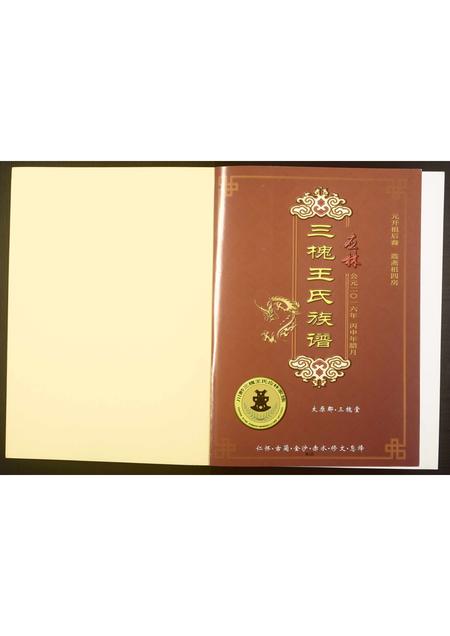 四川王氏-三槐王氏族谱.pdf电子版插图