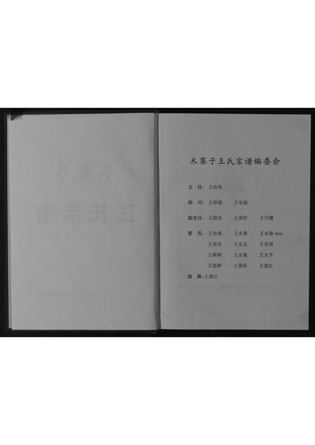 四川王氏-木寨子王氏宗谱[不分卷].pdf电子版插图2