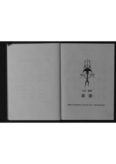 四川王氏-木寨子王氏宗谱[不分卷].pdf电子版插图3