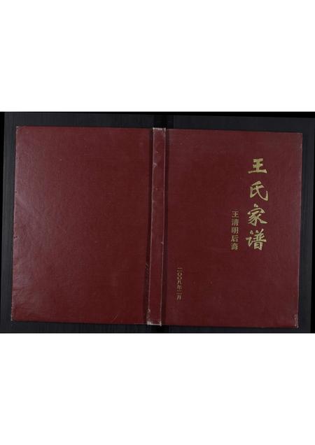 四川王氏-王氏家谱[不分卷].pdf电子版插图