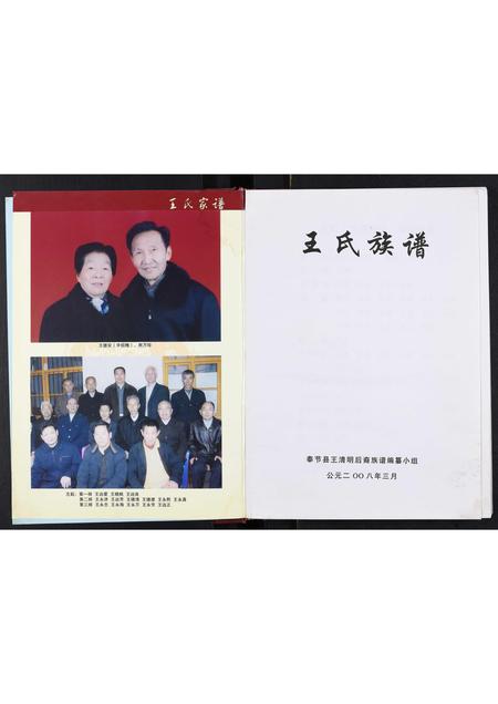 四川王氏-王氏家谱[不分卷].pdf电子版插图2