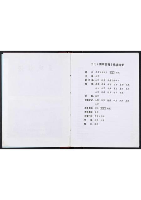 四川王氏-王氏家谱[不分卷].pdf电子版插图3