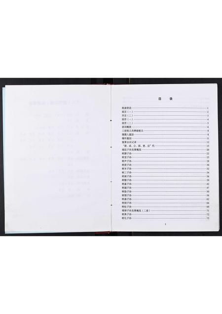 四川王氏-王氏家谱[不分卷].pdf电子版插图4