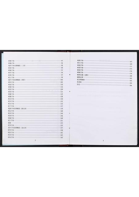 四川王氏-王氏家谱[不分卷].pdf电子版插图5