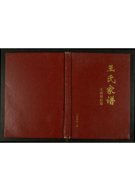 四川王氏-王氏家谱王清明后裔.pdf电子版插图