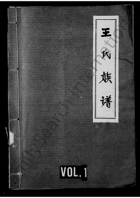 四川王氏-王氏族谱.pdf电子版