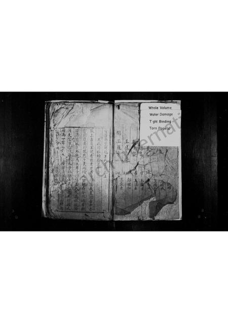 四川王氏-王氏族谱(别名：宣汉县双河场王氏宗谱).pdf电子版插图1