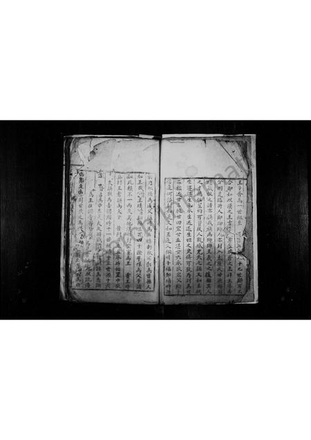 四川王氏-王氏族谱(别名：宣汉县双河场王氏宗谱).pdf电子版插图5