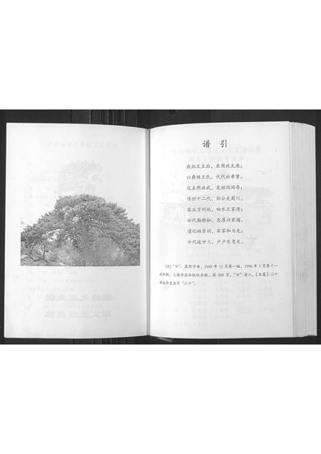 四川王氏-万州向水王家湾王氏家谱[1册](别名：Wan Zhou Xiang Shui Wang Jia Wan Wang Shi Jia Pu).pdf电子版插图4