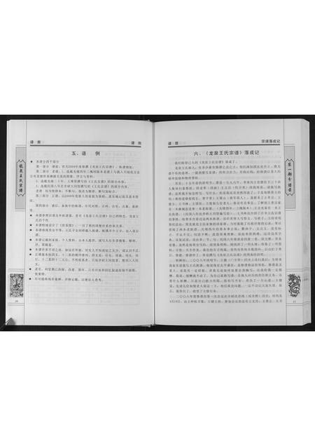 四川王氏-龙泉王氏宗谱[不分卷].pdf电子版插图5