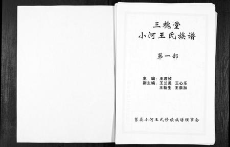 山东王氏-三槐堂小河王氏族谱[2部,7卷](别名：San Huai Tang Xiao He Wang Shi Zu Pu).pdf电子版插图1