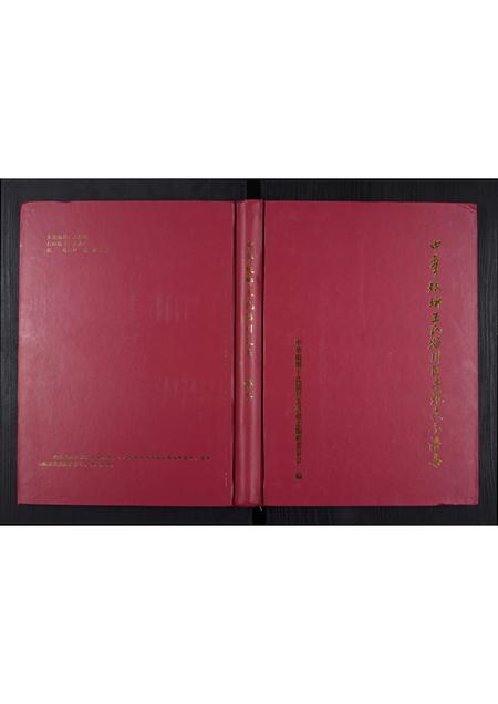 山东王氏-中华琅琊王氏淄川区土泉支系谱志.pdf电子版插图 山东王氏-中华琅琊王氏淄川区土泉支系谱志.pdf电子版插图