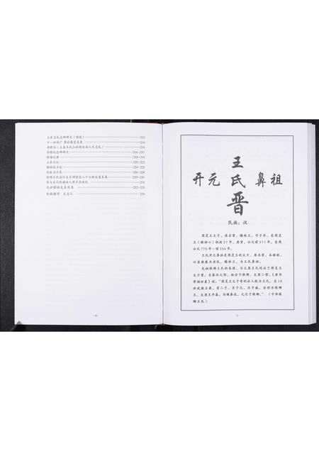 山东王氏-中华琅琊王氏淄川区土泉支系谱志.pdf电子版插图4 山东王氏-中华琅琊王氏淄川区土泉支系谱志.pdf电子版插图4