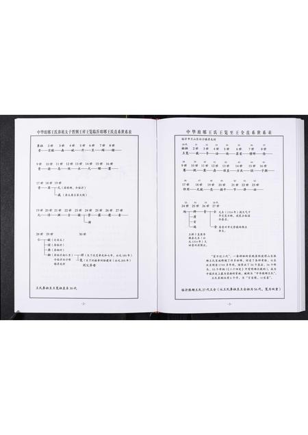 山东王氏-中华琅琊王氏淄川区土泉支系谱志.pdf电子版插图5 山东王氏-中华琅琊王氏淄川区土泉支系谱志.pdf电子版插图5