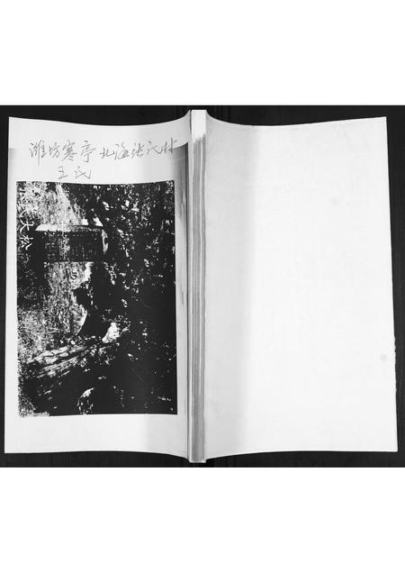 山东王氏-北海张氏村王氏.pdf电子版插图 山东王氏-北海张氏村王氏.pdf电子版插图