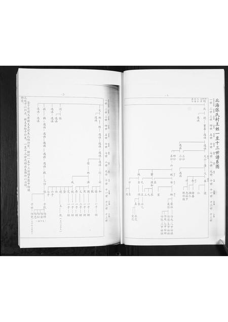 山东王氏-北海张氏村王氏.pdf电子版插图3 山东王氏-北海张氏村王氏.pdf电子版插图3