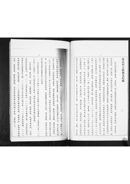 山东王氏-北海张氏村王氏.pdf电子版插图4 山东王氏-北海张氏村王氏.pdf电子版插图4