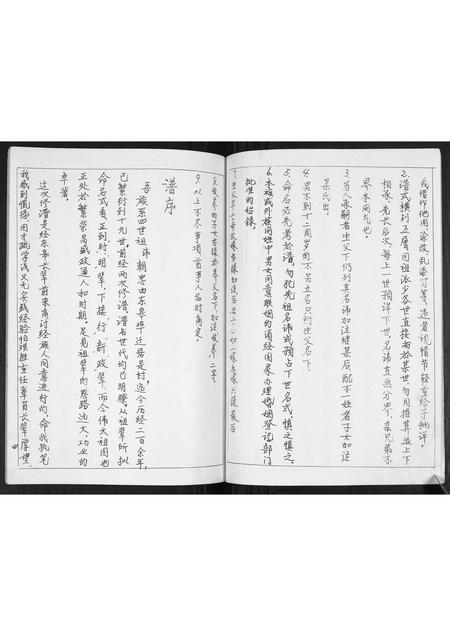 山东王氏-即墨王家庄王氏族谱.pdf电子版插图3