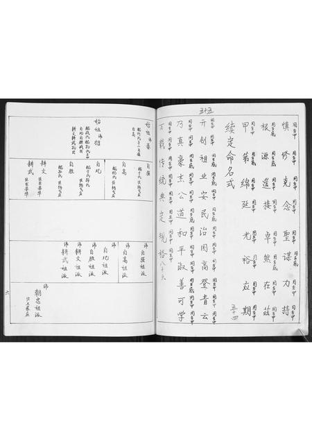 山东王氏-即墨王家庄王氏族谱.pdf电子版插图5