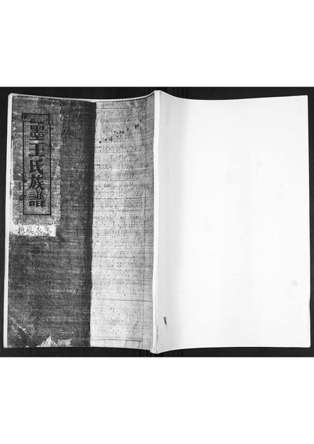 山东王氏-即墨王氏族谱.pdf电子版