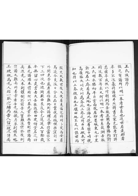 山东王氏-即墨王氏族谱.pdf电子版插图2