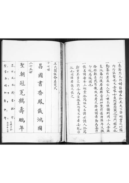 山东王氏-即墨王氏族谱.pdf电子版插图5