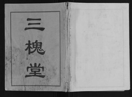 山东王氏-古沛王氏族谱.pdf电子版插图