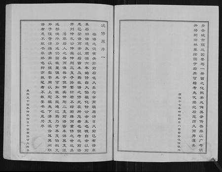山东王氏-古沛王氏族谱.pdf电子版插图1