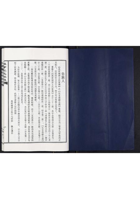 山东王氏-城律王氏家乘.pdf电子版插图1