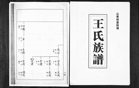 山东王氏-山东桓台斜沟王氏族谱[6卷](别名：Shan Dong Huan Tai Xie Guo Wang Shi Zu Pu).pdf电子版插图