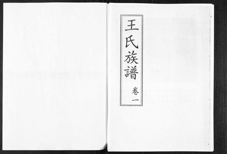 山东王氏-山东桓台斜沟王氏族谱[6卷](别名：Shan Dong Huan Tai Xie Guo Wang Shi Zu Pu).pdf电子版插图1