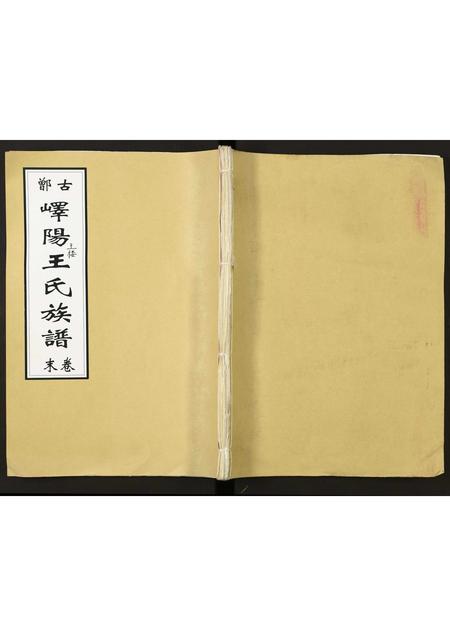 山东王氏-峄阳王楼王氏族谱.pdf电子版插图 山东王氏-峄阳王楼王氏族谱.pdf电子版插图