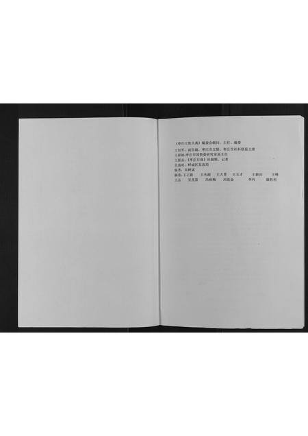 山东王氏-枣庄王姓大典[不分卷].pdf电子版插图1