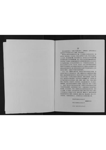 山东王氏-枣庄王姓大典[不分卷].pdf电子版插图2