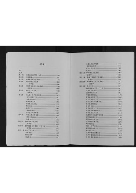 山东王氏-枣庄王姓大典[不分卷].pdf电子版插图3