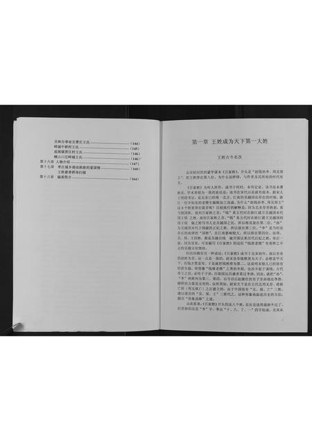 山东王氏-枣庄王姓大典[不分卷].pdf电子版插图4