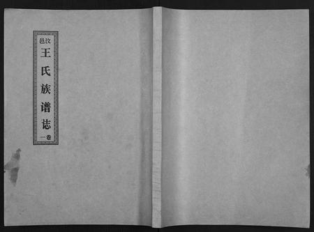 山东王氏-汶邑王氏族谱志[17卷](别名：Wen Yi Wang Shi Zu Pu Zhi).pdf电子版插图