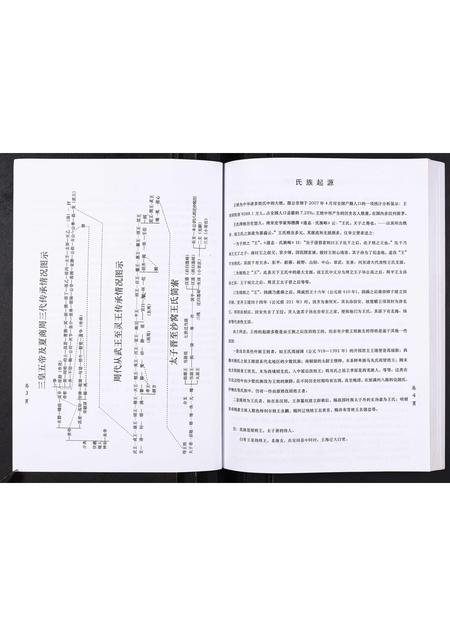 山东王氏-沙窝王氏宗谱[10卷].pdf电子版插图5