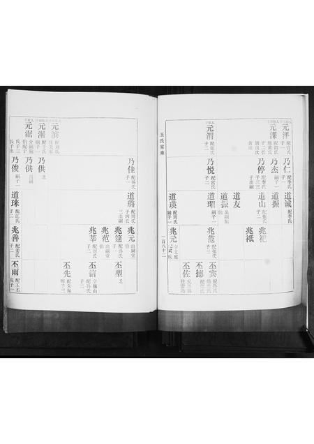 山东王氏-河南村王氏族谱.pdf电子版插图2 山东王氏-河南村王氏族谱.pdf电子版插图2