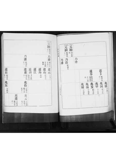 山东王氏-河南村王氏族谱.pdf电子版插图5 山东王氏-河南村王氏族谱.pdf电子版插图5