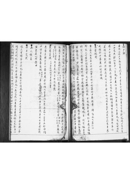 山东王氏-王哥庄王氏谱书.pdf电子版插图4