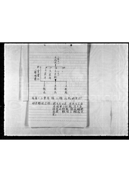 山东王氏-[王氏]族谱.pdf电子版插图2