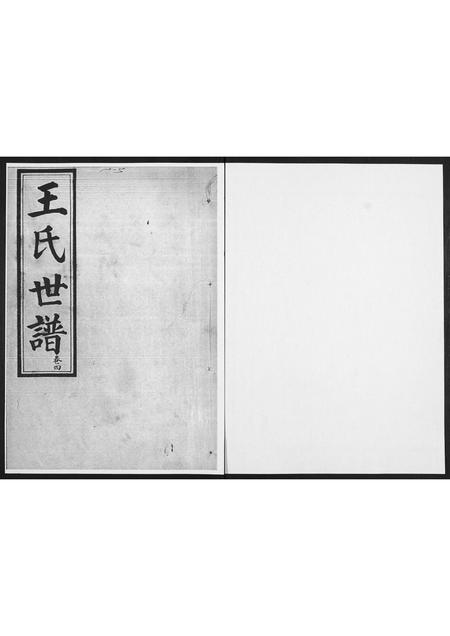 山东王氏-王氏世谱.pdf电子版