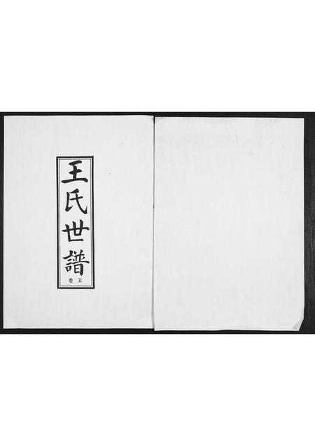 山东王氏-王氏世谱[5卷].pdf电子版