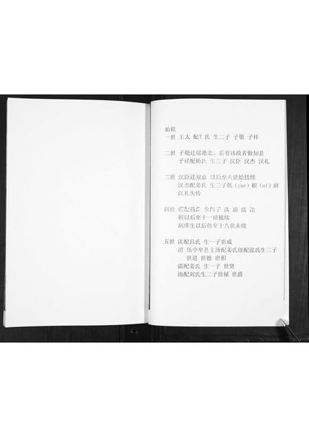 山东王氏-王氏四支家谱.pdf电子版插图4 山东王氏-王氏四支家谱.pdf电子版插图4